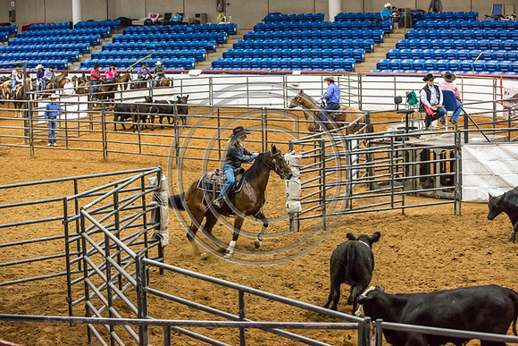 Crystal_Gibson_Photo_00069