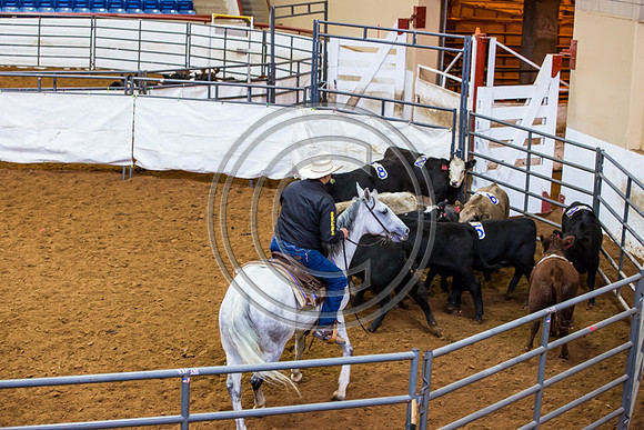 Crystal_Gibson_Photo_00059