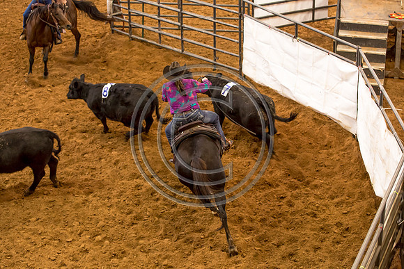 Crystal_Gibson_Photo_00140