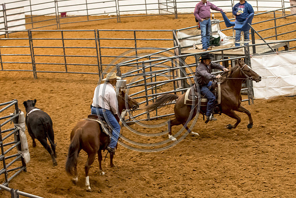 Crystal_Gibson_Photo_00030-2