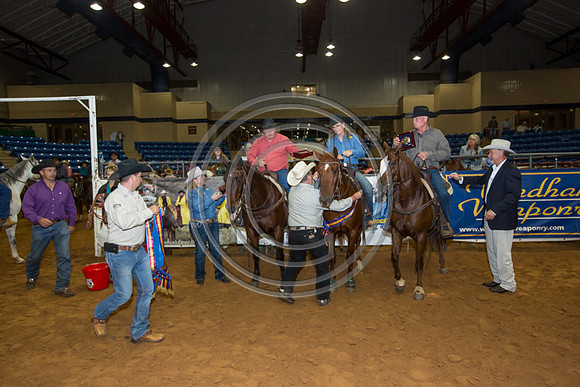 Crystal_Gibson_Photo_00251
