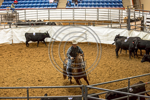 Crystal_Gibson_Photo_00125
