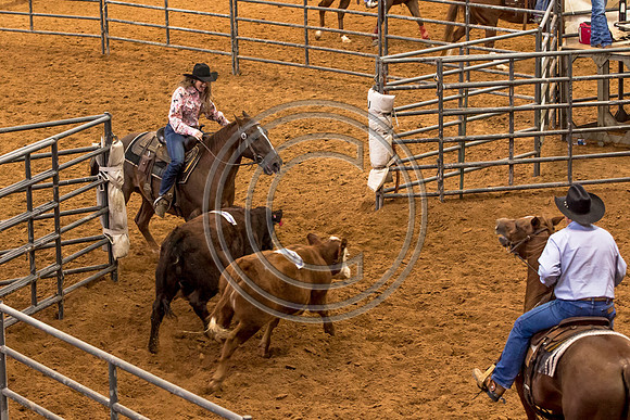 Crystal_Gibson_Photo_00024-2